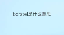 borstel是什么意思 borstel的中文翻译、读音、例句