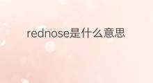 rednose是什么意思 rednose的中文翻译、读音、例句