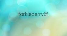 farkleberry是什么意思 farkleberry的中文翻译、读音、例句