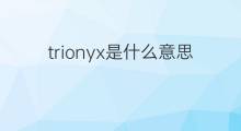 trionyx是什么意思 trionyx的中文翻译、读音、例句