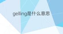 gelling是什么意思 gelling的中文翻译、读音、例句