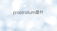 prostratum是什么意思 prostratum的中文翻译、读音、例句