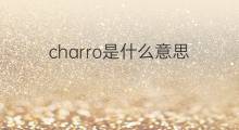 charro是什么意思 英文名charro的翻译、发音、来源