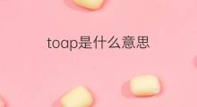 toap是什么意思 toap的中文翻译、读音、例句