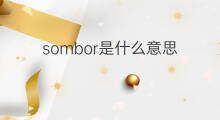 sombor是什么意思 sombor的中文翻译、读音、例句