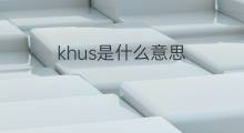 khus是什么意思 khus的中文翻译、读音、例句