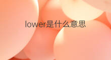 lower是什么意思 lower的中文翻译、读音、例句