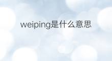 weiping是什么意思 weiping的中文翻译、读音、例句