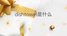 dishtowel是什么意思 dishtowel的中文翻译、读音、例句