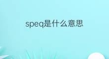 speq是什么意思 speq的中文翻译、读音、例句