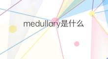 medullary是什么意思 medullary的中文翻译、读音、例句