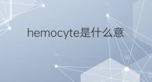 hemocyte是什么意思 hemocyte的中文翻译、读音、例句