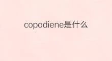 copadiene是什么意思 copadiene的中文翻译、读音、例句