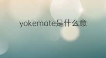 yokemate是什么意思 yokemate的中文翻译、读音、例句