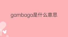 gambaga是什么意思 gambaga的中文翻译、读音、例句