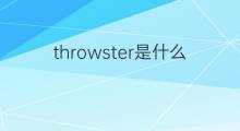 throwster是什么意思 throwster的中文翻译、读音、例句