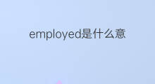 employed是什么意思 employed的中文翻译、读音、例句