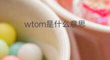 wtom是什么意思 wtom的中文翻译、读音、例句