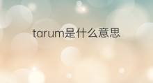 tarum是什么意思 tarum的翻译、读音、例句、中文解释
