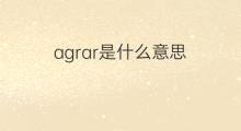 agrar是什么意思 agrar的中文翻译、读音、例句