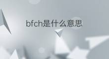 bfch是什么意思 bfch的中文翻译、读音、例句