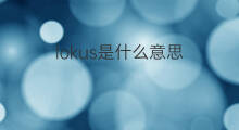 lokus是什么意思 lokus的中文翻译、读音、例句