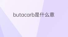 butacarb是什么意思 butacarb的中文翻译、读音、例句