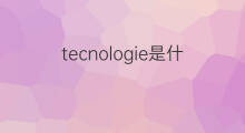 tecnologie是什么意思 tecnologie的中文翻译、读音、例句