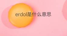 erdol是什么意思 erdol的翻译、读音、例句、中文解释