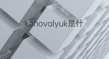 konovalyuk是什么意思 konovalyuk的中文翻译、读音、例句