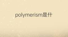 polymerism是什么意思 polymerism的中文翻译、读音、例句