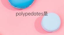 polypedates是什么意思 polypedates的中文翻译、读音、例句