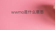wwmo是什么意思 wwmo的中文翻译、读音、例句
