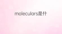 moleculars是什么意思 moleculars的中文翻译、读音、例句