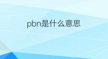 pbn是什么意思 pbn的中文翻译、读音、例句