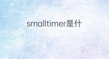 smalltimer是什么意思 smalltimer的中文翻译、读音、例句