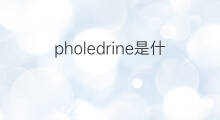 pholedrine是什么意思 pholedrine的翻译、读音、例句、中文解释