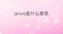 anvis是什么意思 anvis的翻译、读音、例句、中文解释