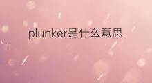 plunker是什么意思 plunker的中文翻译、读音、例句