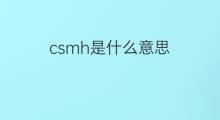 csmh是什么意思 csmh的中文翻译、读音、例句