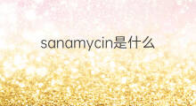 sanamycin是什么意思 sanamycin的中文翻译、读音、例句