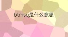 btmsq是什么意思 btmsq的中文翻译、读音、例句
