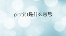 protist是什么意思 protist的中文翻译、读音、例句