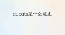 ducats是什么意思 ducats的中文翻译、读音、例句