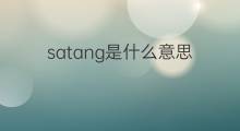 satang是什么意思 satang的中文翻译、读音、例句