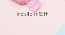incisiform是什么意思 incisiform的中文翻译、读音、例句
