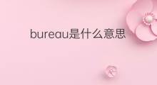 bureau是什么意思 bureau的中文翻译、读音、例句