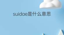 suidae是什么意思 suidae的中文翻译、读音、例句