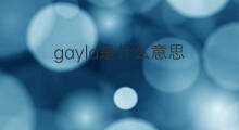 gayla是什么意思 gayla的中文翻译、读音、例句