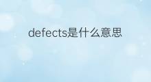 defects是什么意思 defects的中文翻译、读音、例句